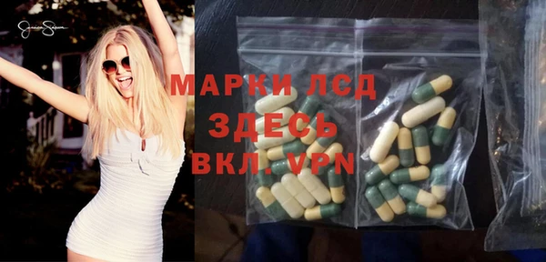 молекула духа Богданович