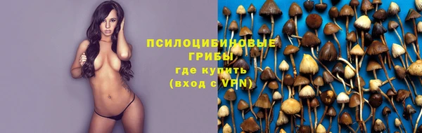первитин Богородск