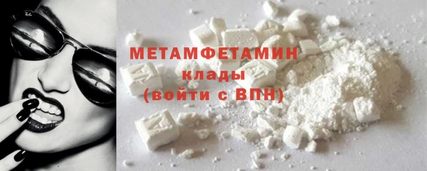 молекула духа Богданович