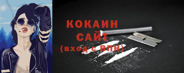 таблы Богородицк