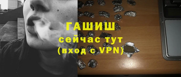 молекула духа Богданович