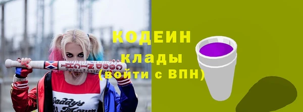 таблы Богородицк