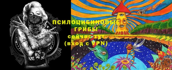 первитин Богородск