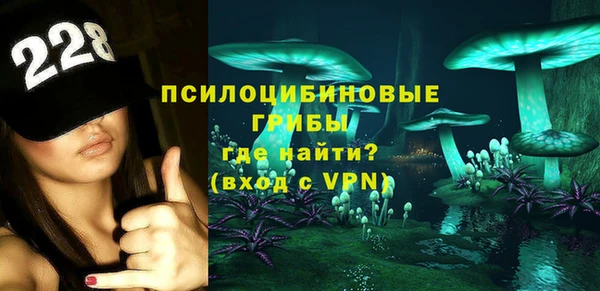 молекула духа Богданович