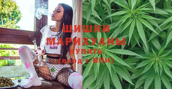 молекула духа Богданович