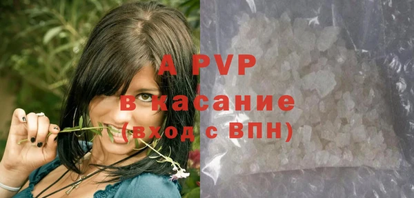 молекула духа Богданович