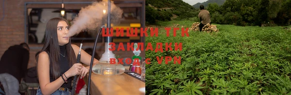 ГАЛЛЮЦИНОГЕННЫЕ ГРИБЫ Сосновоборск