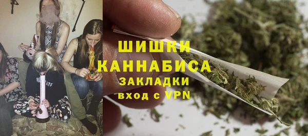 молекула духа Богданович