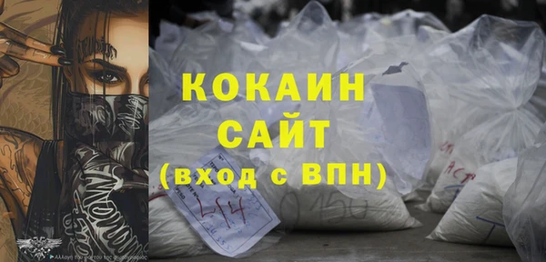 молекула духа Богданович