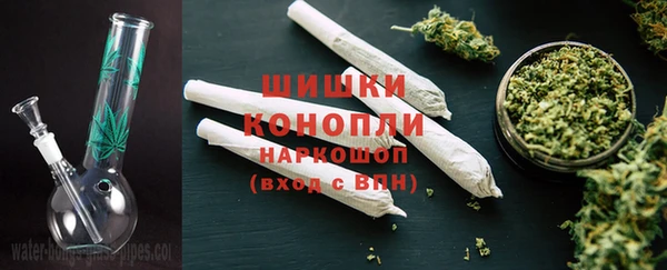 молекула духа Богданович