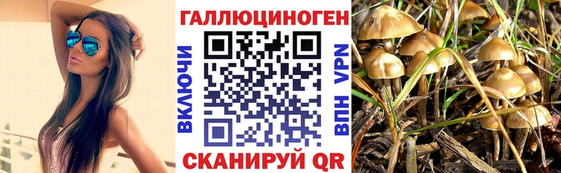 shop какой сайт  Высоковск  Псилоцибиновые грибы Magic Shrooms  OMG ссылка 